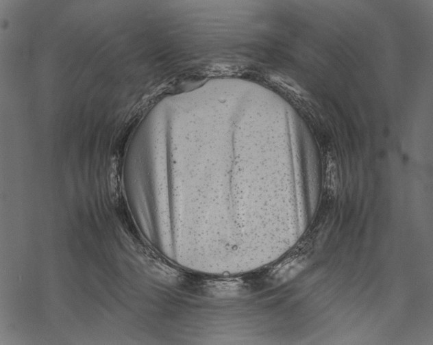 X0000067910318200605041650