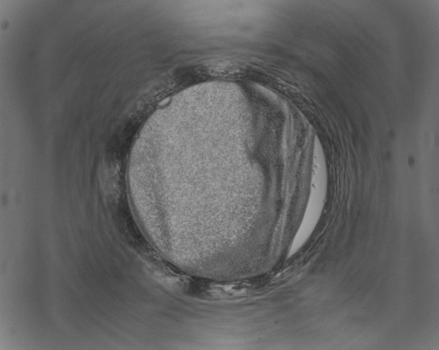 X0000067910319200605041650