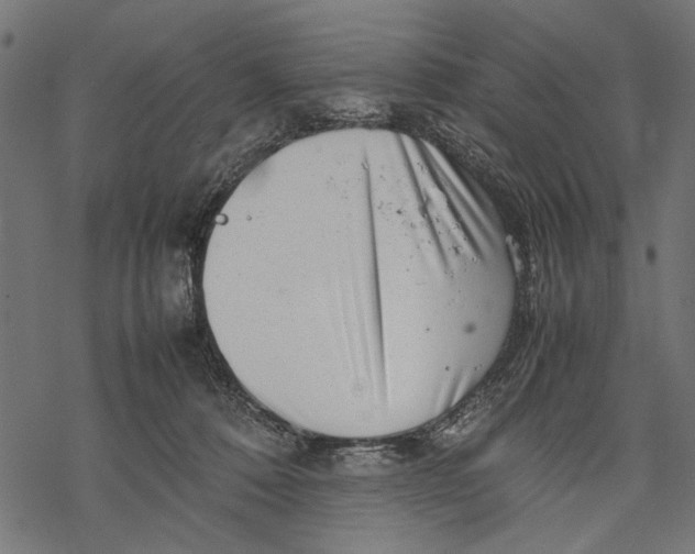 X0000067910320200605041650