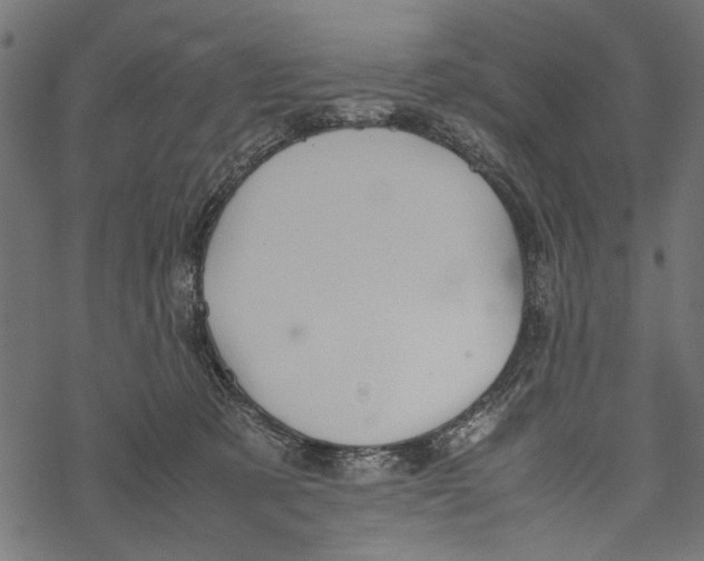 X0000067910321200605041650