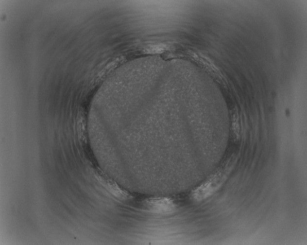 X0000067910322200605041650