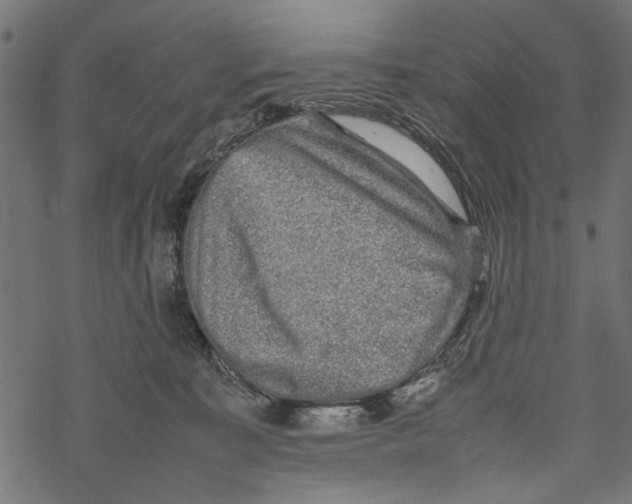 X0000067910323200605041650