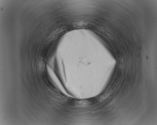 X0000067910324200605041650