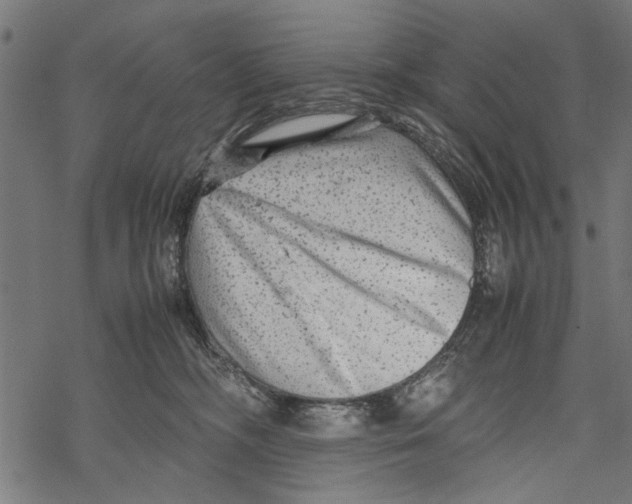 X0000067910326200605041650