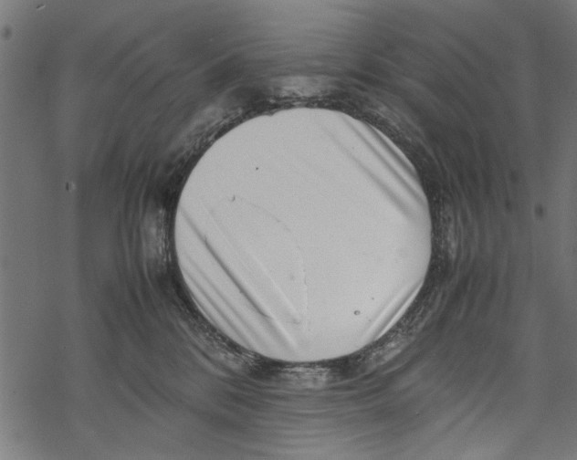 X0000067910328200605041650