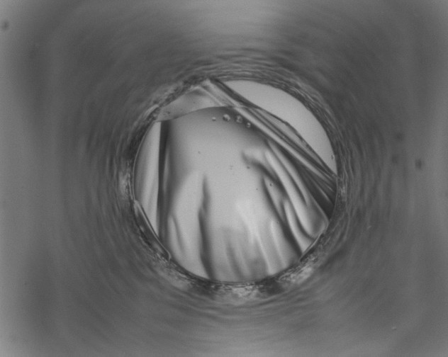 X0000067910329200605041650