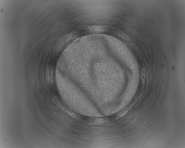 X0000067910330200605041650