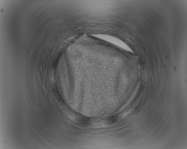 X0000067910331200605041650