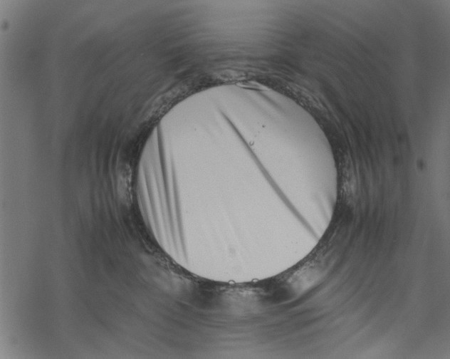 X0000067910332200605041650