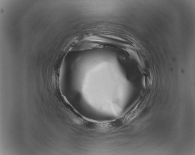 X0000067910333200605041650