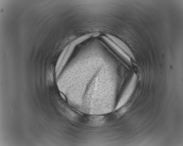 X0000067910334200605041650