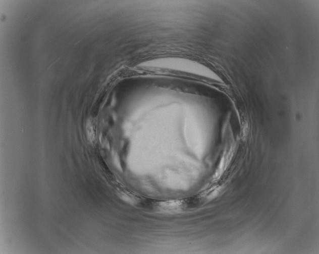 X0000067910335200605041650