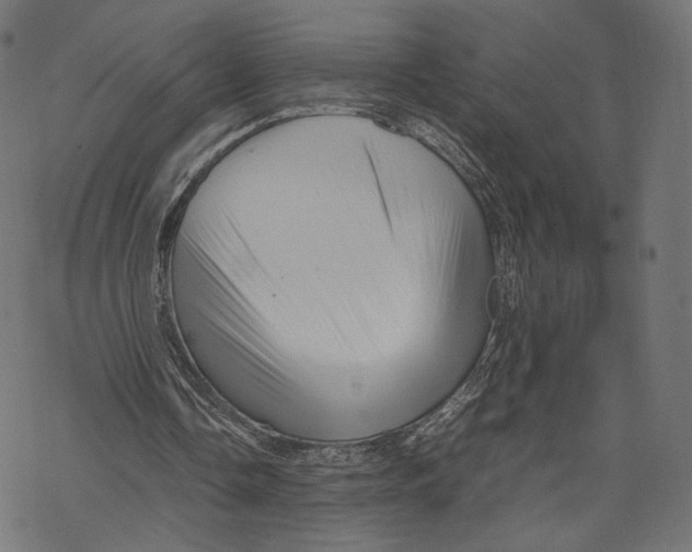 X0000067910338200605041649