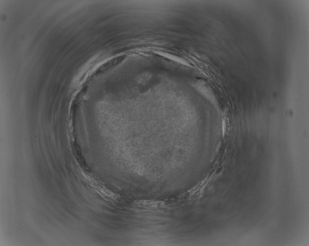 X0000067910339200605041649