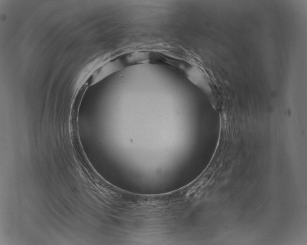 X0000067910340200605041649