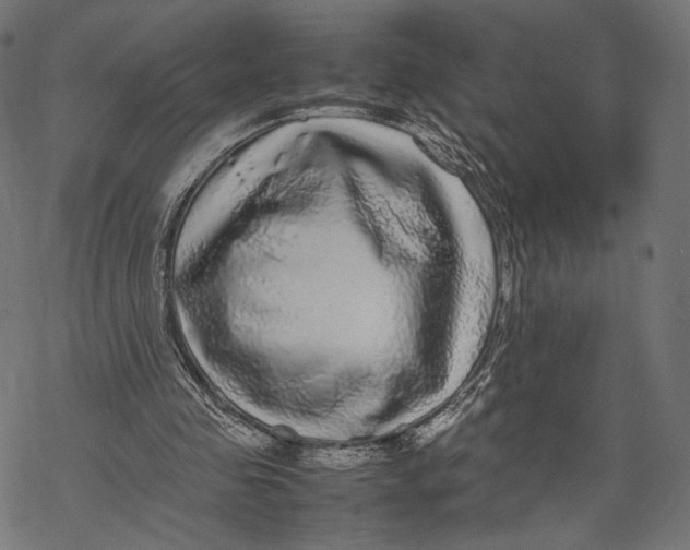 X0000067910341200605041649