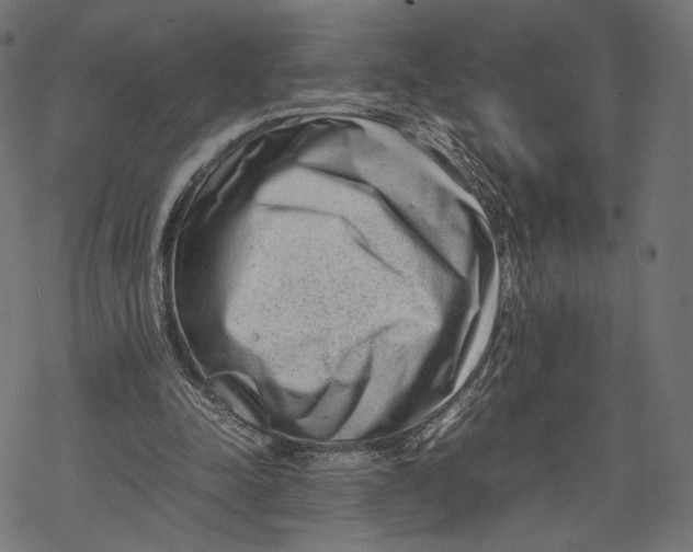 X0000067910342200605041649