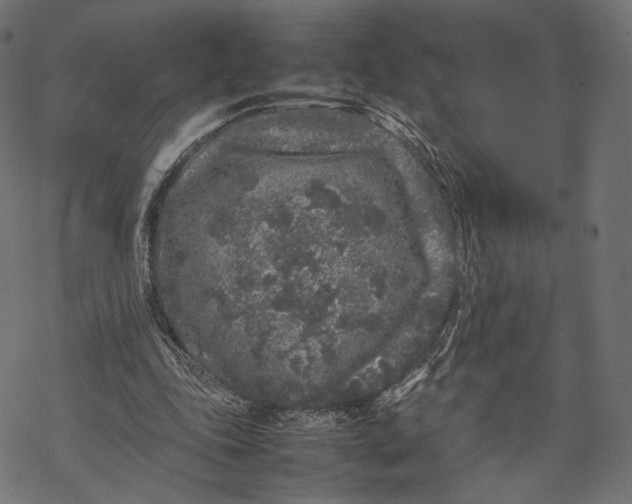 X0000067910343200605041649