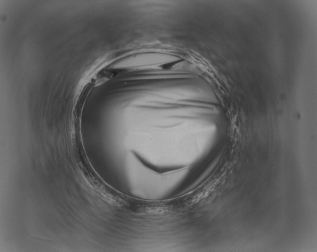 X0000067910344200605041649