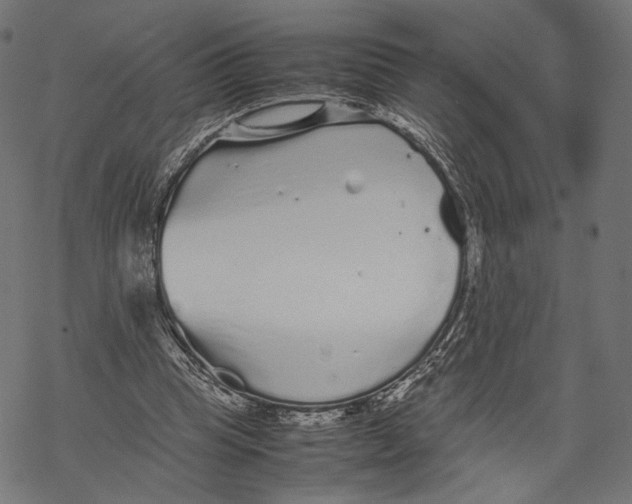 X0000067910345200605041649