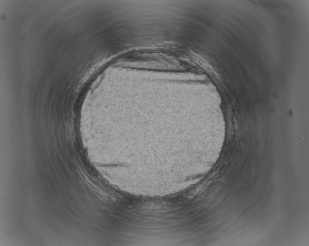 X0000067910346200605041649