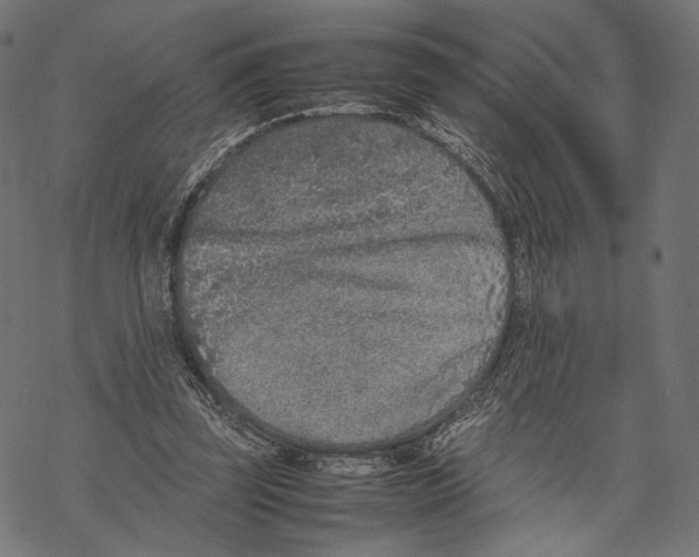 X0000067910347200605041649