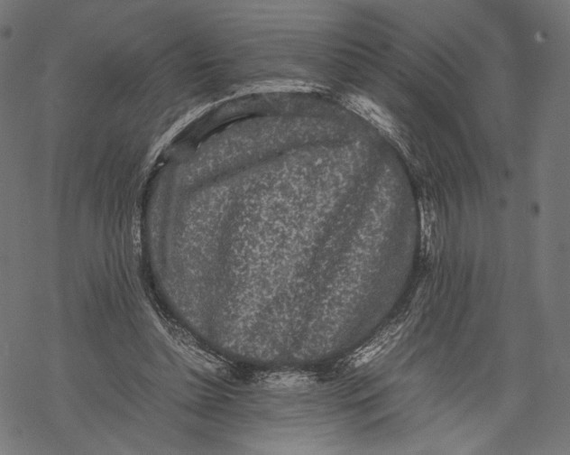 X0000067910348200605041649