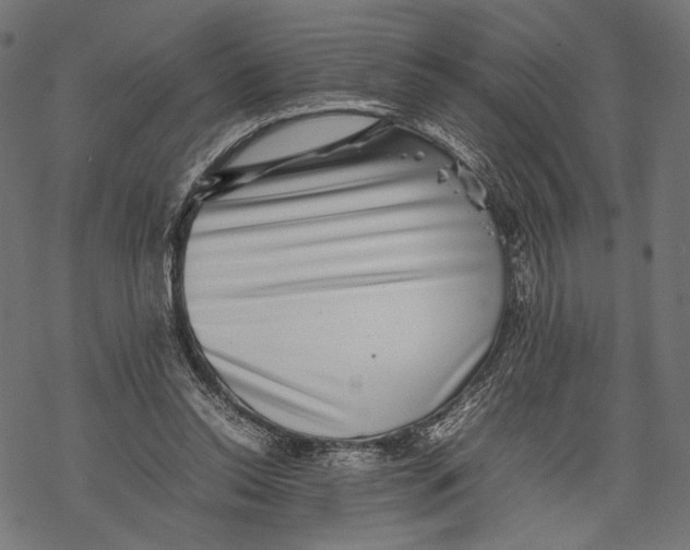 X0000067910350200605041649