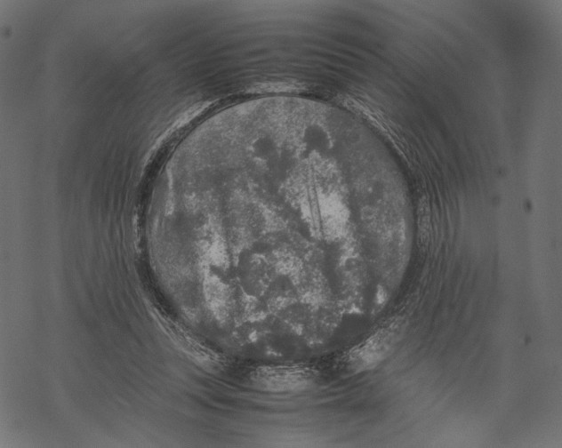 X0000067910351200605041649