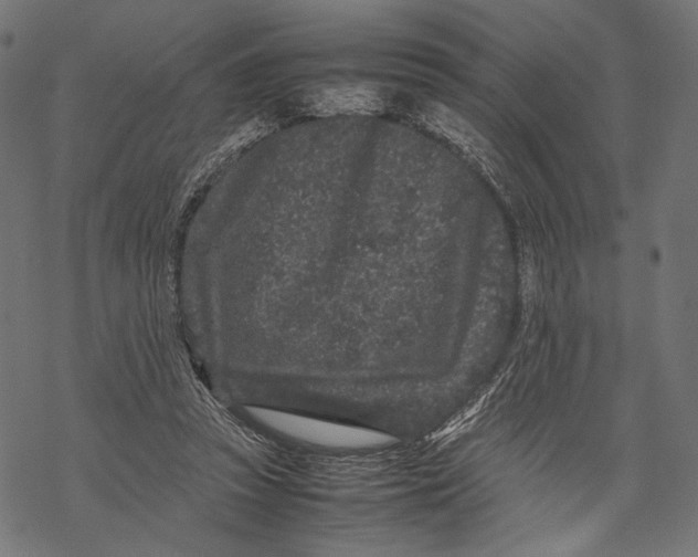 X0000067910353200605041649