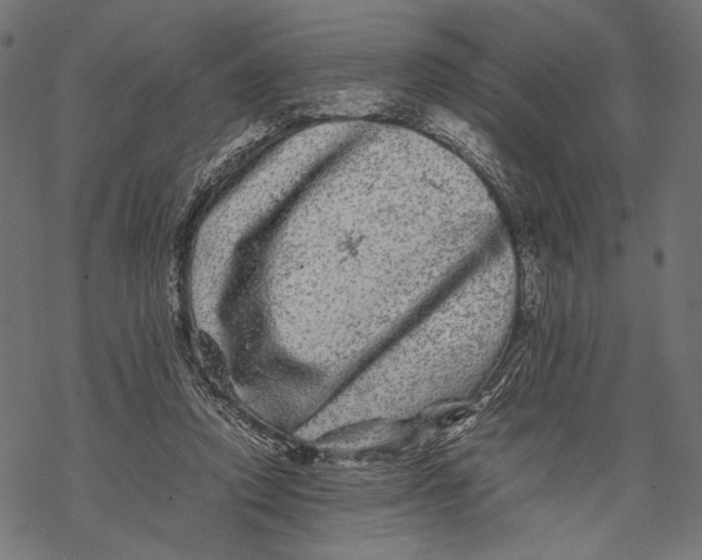 X0000067910354200605041649