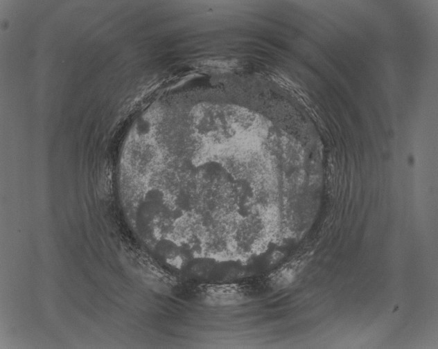 X0000067910355200605041649