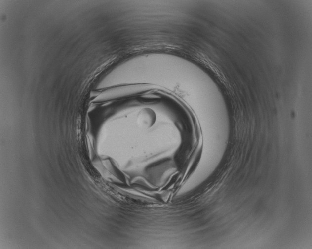 X0000067910356200605041649