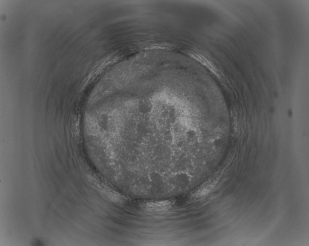 X0000067910357200605041649