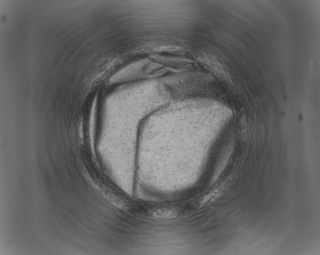 X0000067910358200605041649