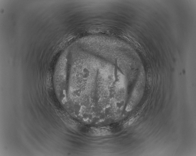 X0000067910359200605041649