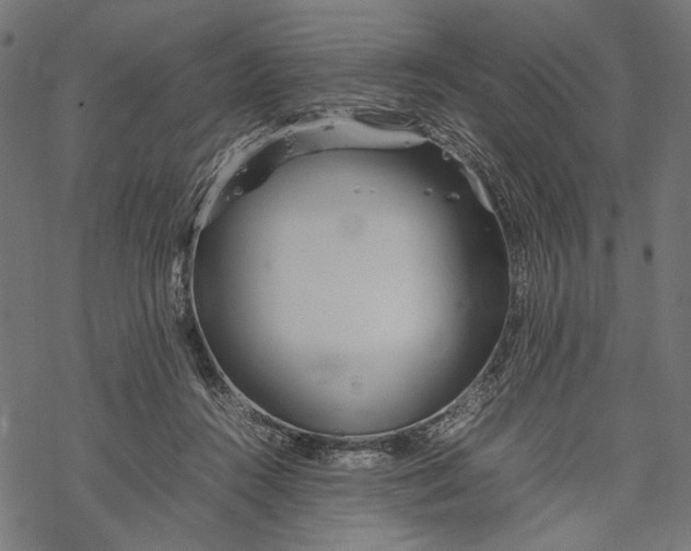 X0000067910360200605041649