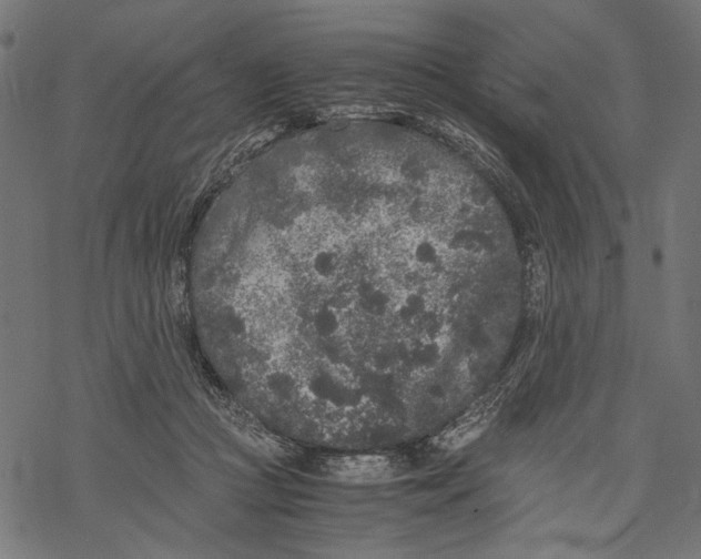 X0000067910361200605041649