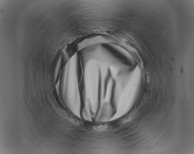 X0000067910362200605041649