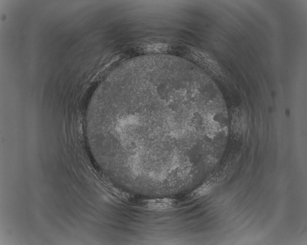 X0000067910363200605041649