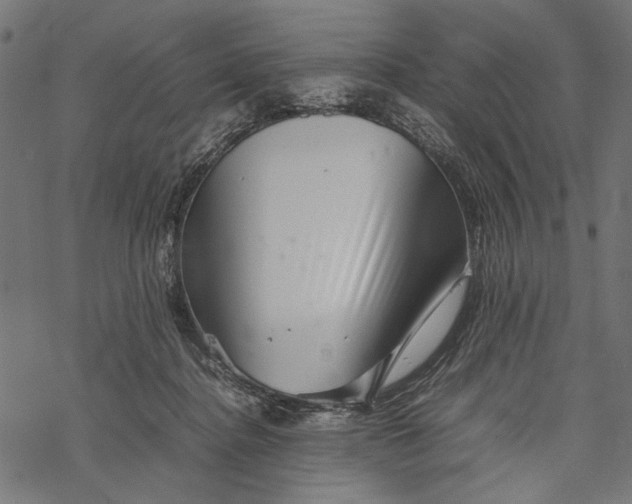 X0000067910364200605041649