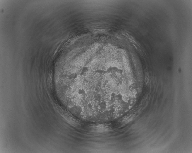 X0000067910365200605041649