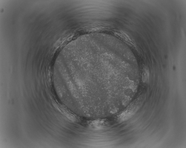 X0000067910366200605041649