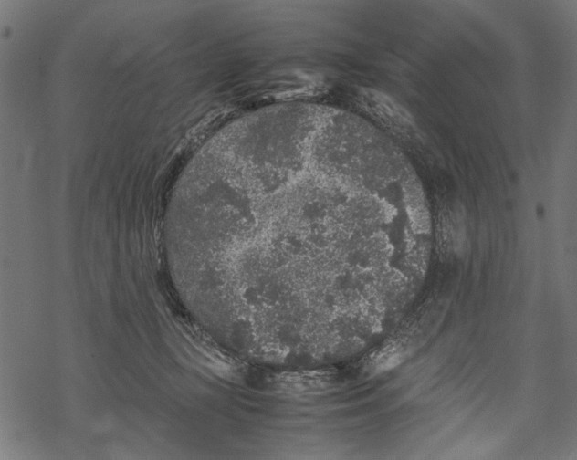 X0000067910367200605041649