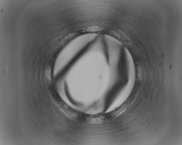 X0000067910368200605041649