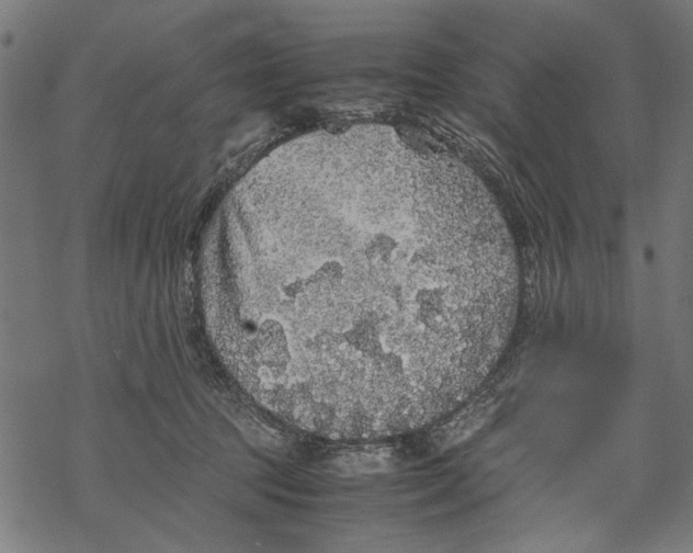 X0000067910369200605041649