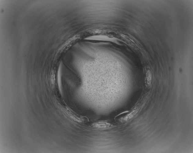 X0000067910372200605041649