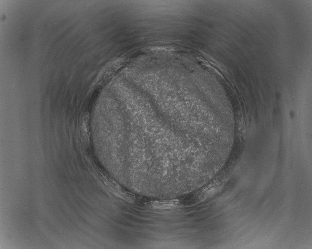 X0000067910373200605041649