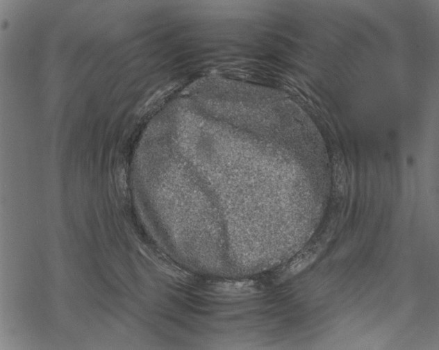 X0000067910375200605041649