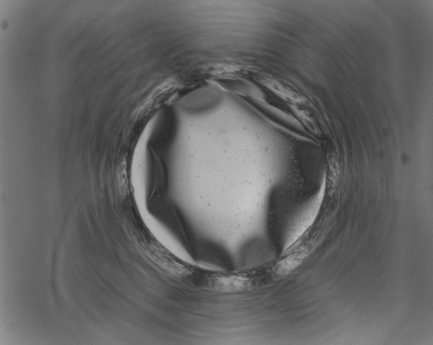 X0000067910376200605041649